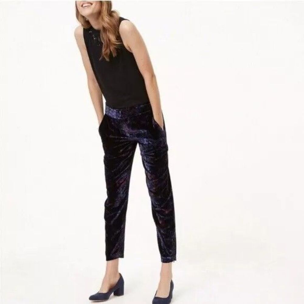 Loft Velvet Pants Woman 6 Ankle Crop Floral Paisley Boho Art Detail Zipper Slit